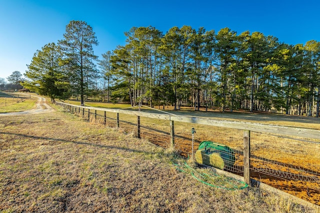 view of yard featuring a rural view