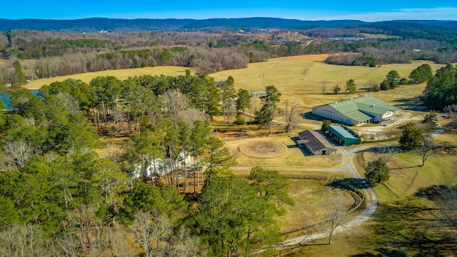 drone / aerial view featuring a mountain view