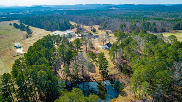 birds eye view of property featuring a water and mountain view