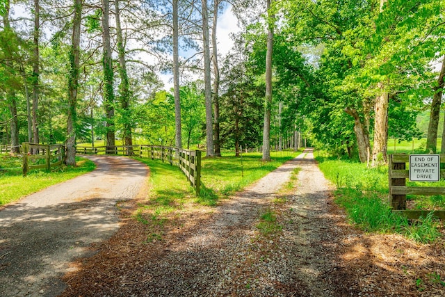 721 Gowan Rd, Lafayette, GA 30728 - view of road