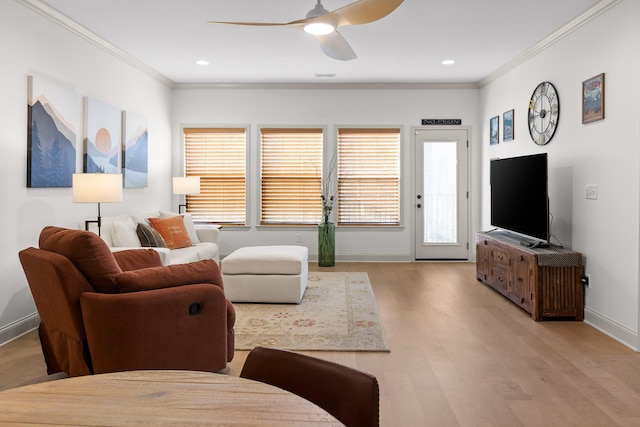 living room featuring ceiling fan, ornamental molding, and light hardwood / wood-style floors