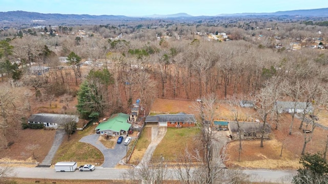 drone / aerial view featuring a mountain view