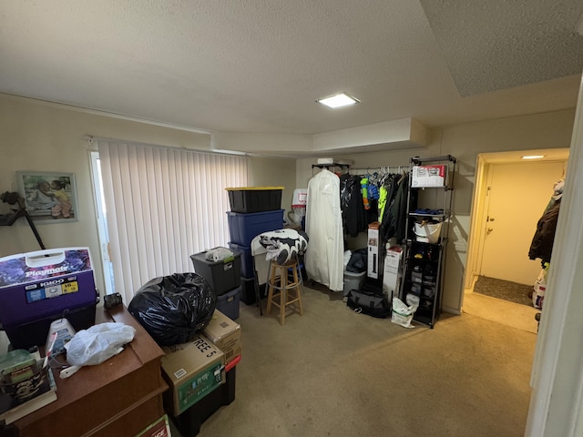 basement with light carpet and a textured ceiling