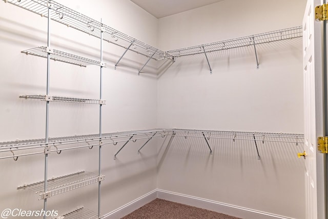 spacious closet with carpet floors