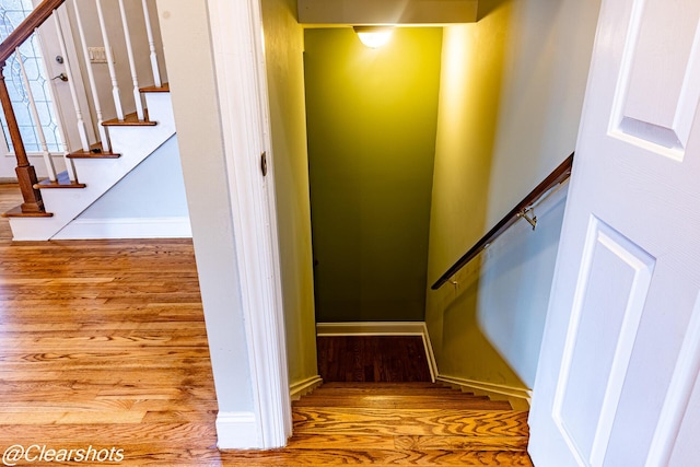 staircase featuring wood-type flooring