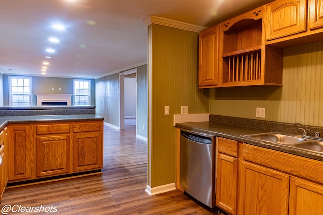 kitchen with sink, ornamental molding, stainless steel dishwasher, and dark hardwood / wood-style floors