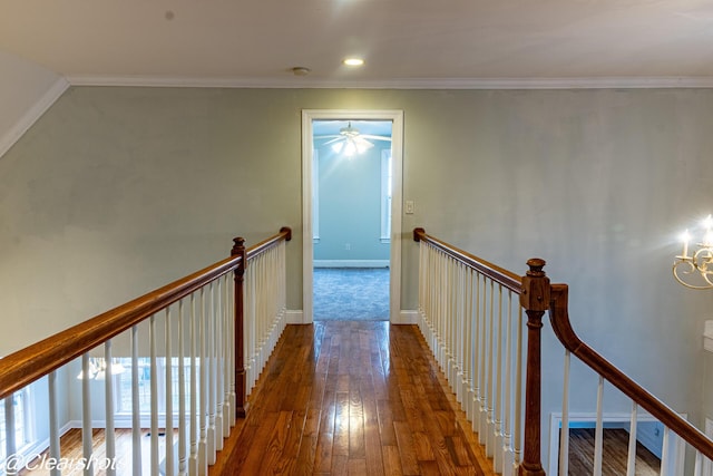 corridor featuring crown molding and dark hardwood / wood-style floors