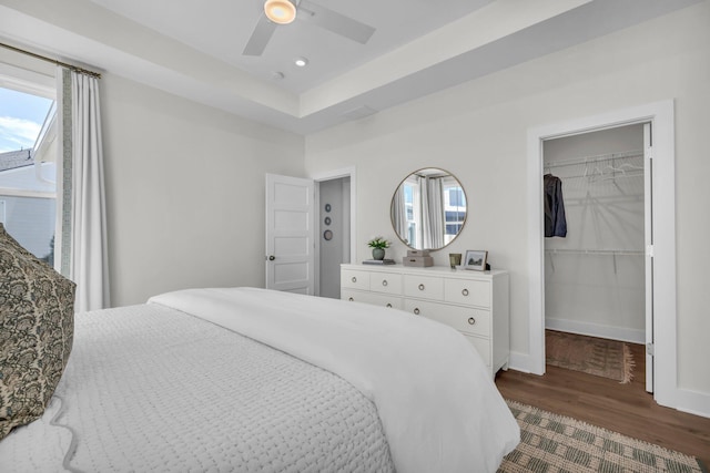 bedroom featuring a walk in closet, dark hardwood / wood-style flooring, a closet, ceiling fan, and a tray ceiling