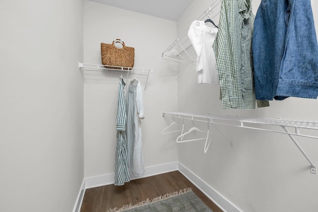 spacious closet with dark wood-type flooring