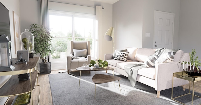 living room featuring wood-type flooring