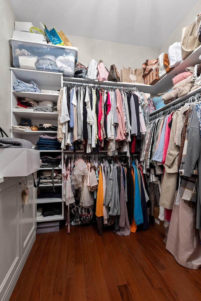 spacious closet featuring wood-type flooring