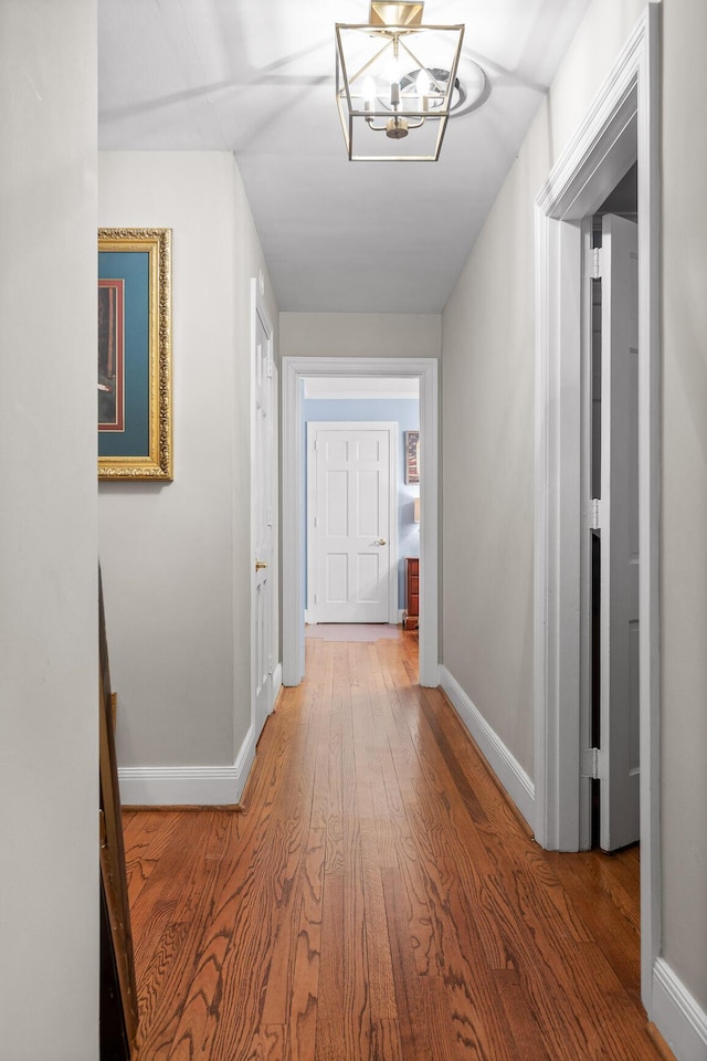 hallway with wood-type flooring and a notable chandelier