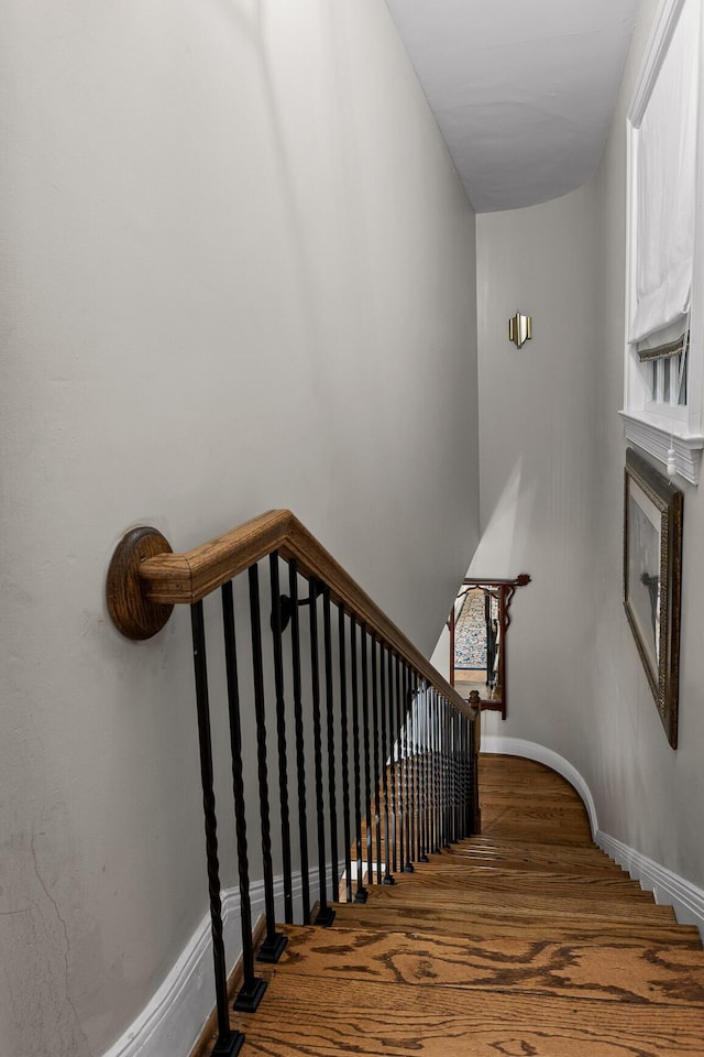 staircase with hardwood / wood-style floors