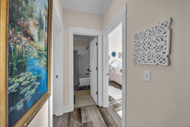 hallway with wood-type flooring