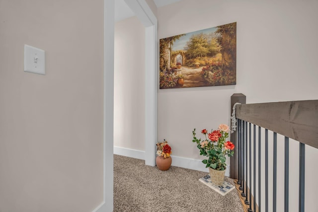 hallway with carpet