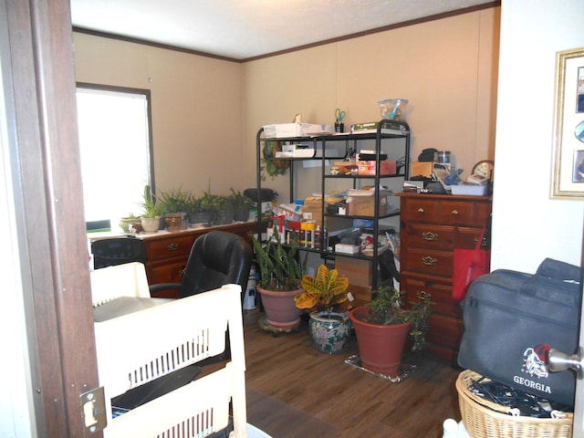 home office featuring crown molding and hardwood / wood-style floors