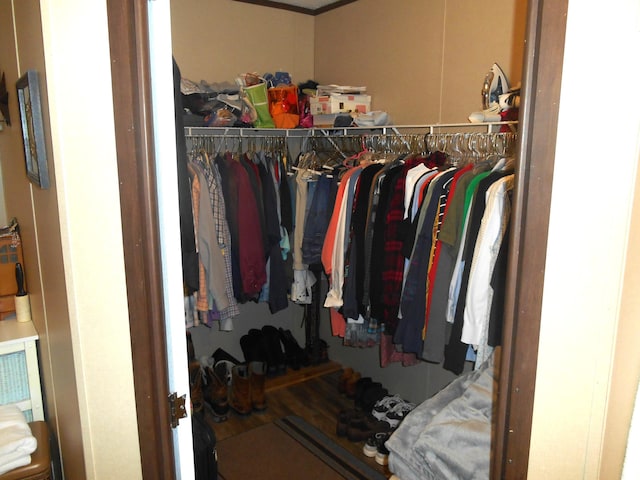 view of walk in closet