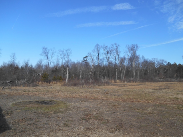 view of landscape