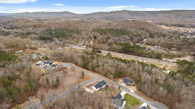 bird's eye view with a mountain view