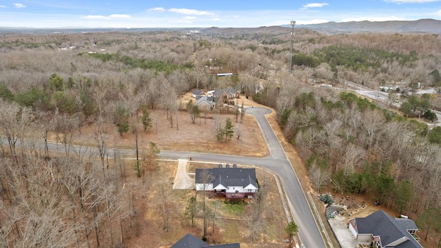 aerial view with a mountain view