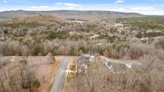 drone / aerial view featuring a mountain view