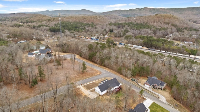 birds eye view of property featuring a mountain view