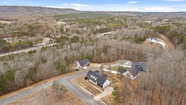 drone / aerial view featuring a mountain view