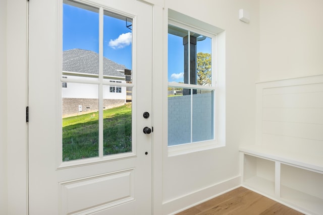 doorway to outside featuring wood-type flooring and a wealth of natural light