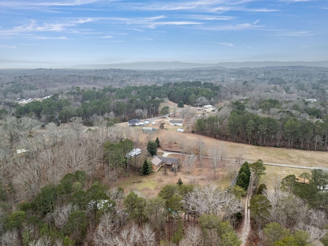 drone / aerial view featuring a mountain view