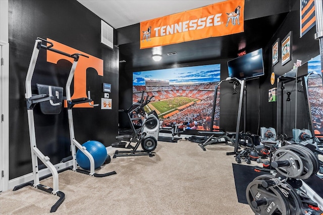 workout area with carpet flooring