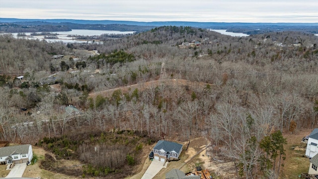 aerial view with a mountain view