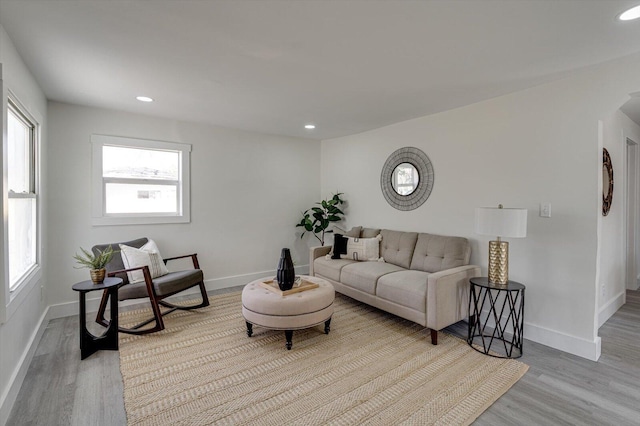 living room featuring light wood-type flooring