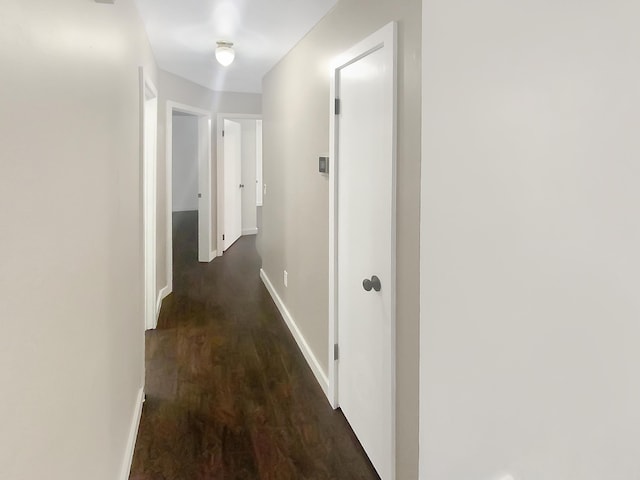 hallway featuring dark hardwood / wood-style floors