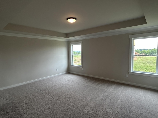 7553 Snow Cone Way Unit 17, Ooltewah, TN 37363 - spare room featuring a raised ceiling, baseboards, and carpet floors