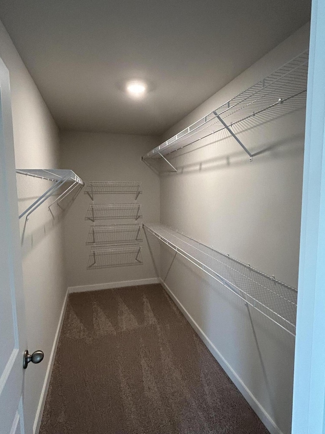 7553 Snow Cone Way Unit 17, Ooltewah, TN 37363 - walk in closet with carpet flooring