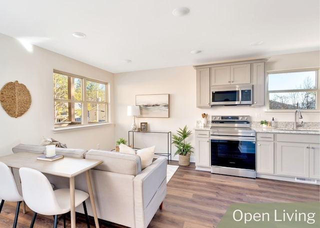 living room featuring sink and dark hardwood / wood-style flooring