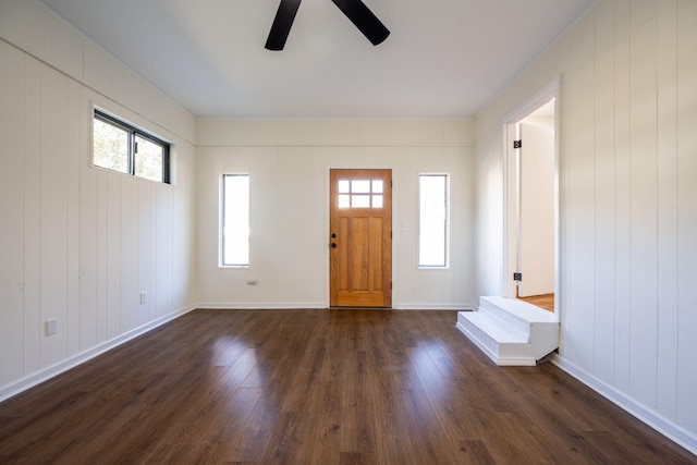 foyer featuring dark hardwood / wood-style flooring, a wealth of natural light, and ceiling fan