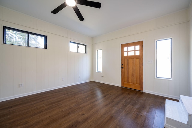 entrance foyer with ceiling fan, a healthy amount of sunlight, and dark hardwood / wood-style flooring