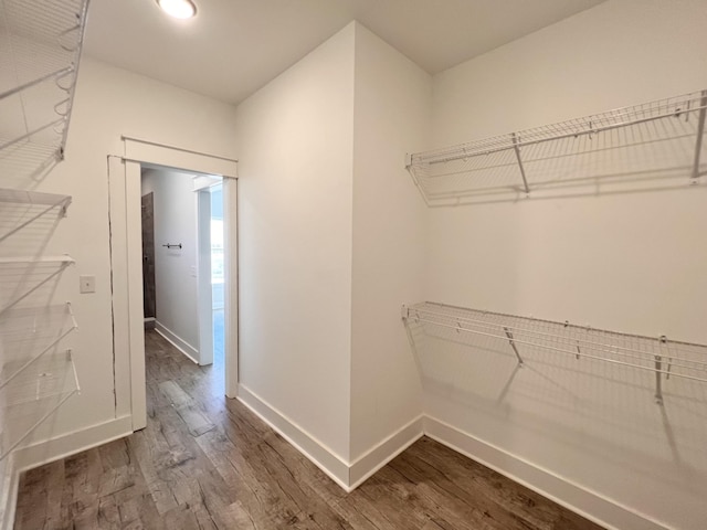 spacious closet with dark wood-style floors
