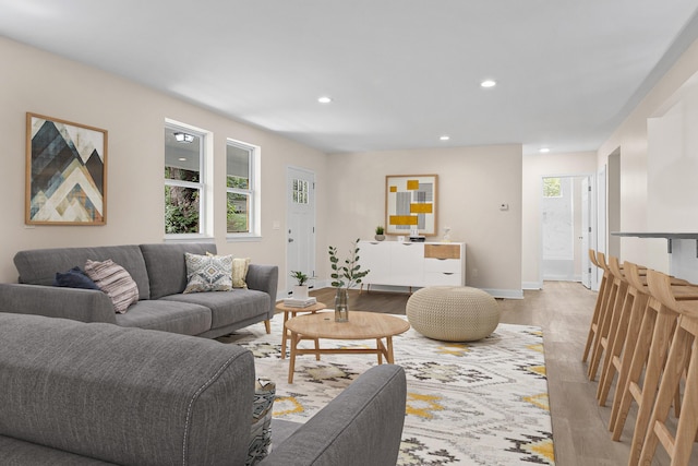 living room featuring light wood-type flooring