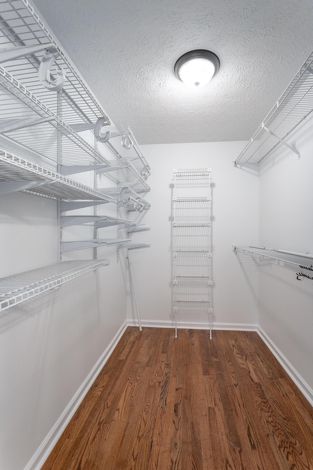 spacious closet featuring dark hardwood / wood-style flooring