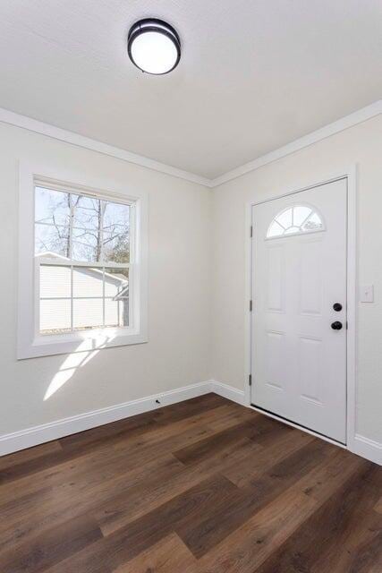 foyer featuring crown molding and dark hardwood / wood-style flooring