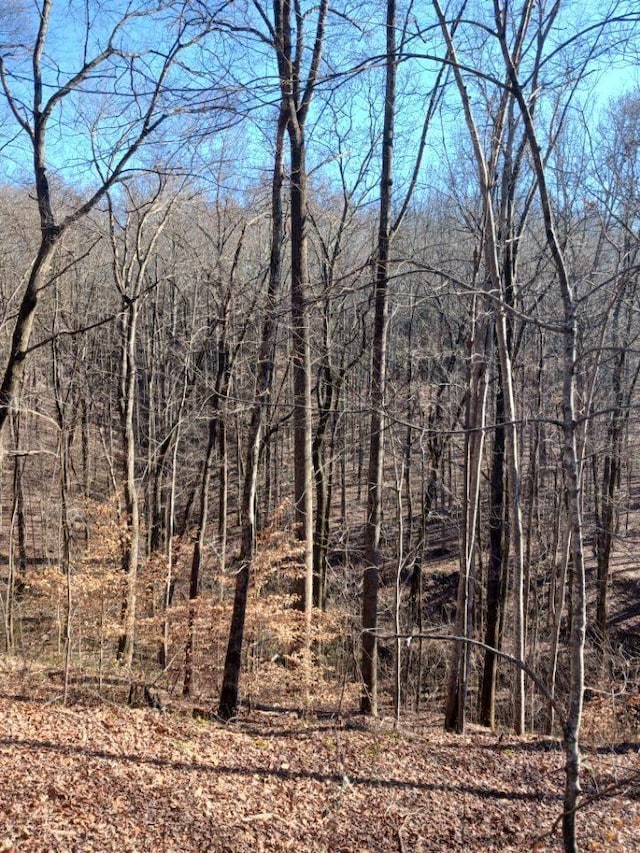 view of landscape