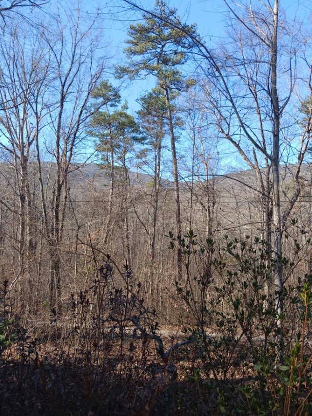 view of nature featuring a mountain view