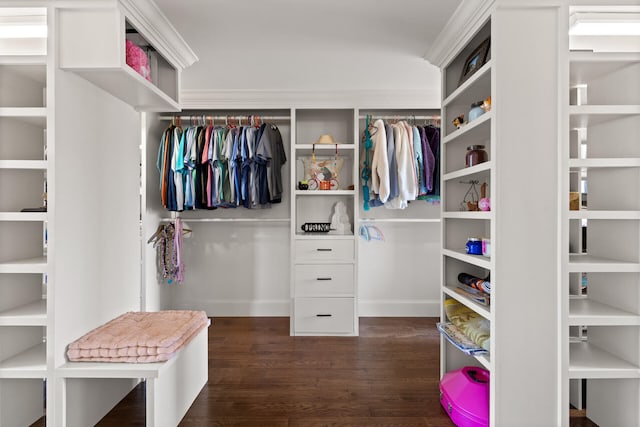 spacious closet with dark wood-type flooring