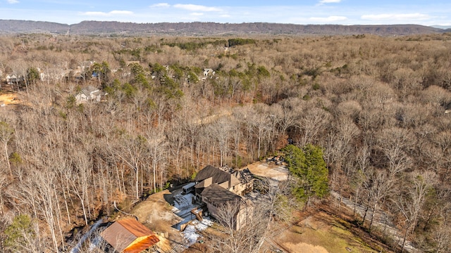 bird's eye view featuring a mountain view