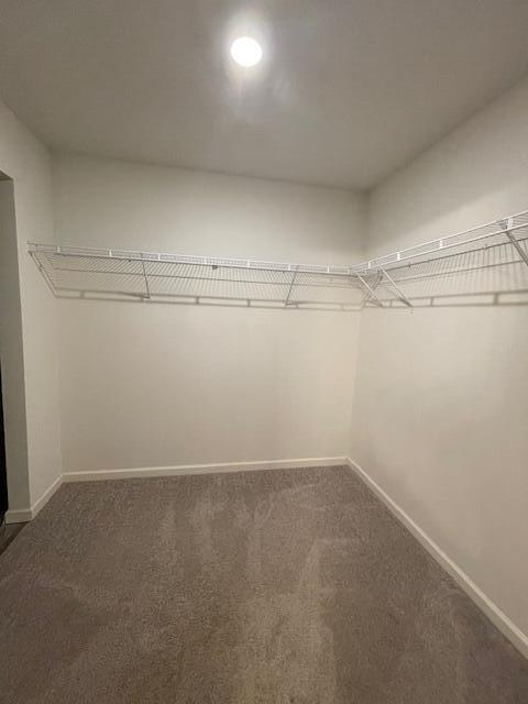 walk in closet with dark colored carpet