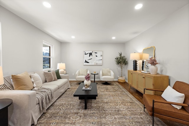 living room featuring wood-type flooring