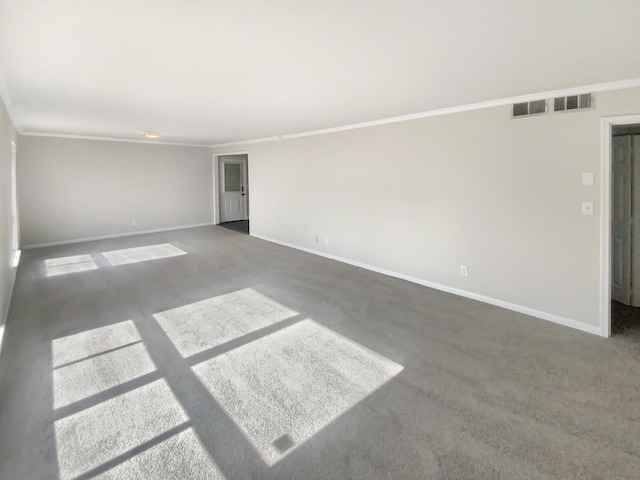 spare room with crown molding and carpet floors