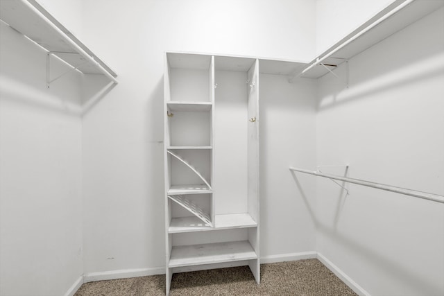 spacious closet with carpet floors